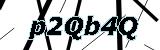 Enter the text seen in the box above